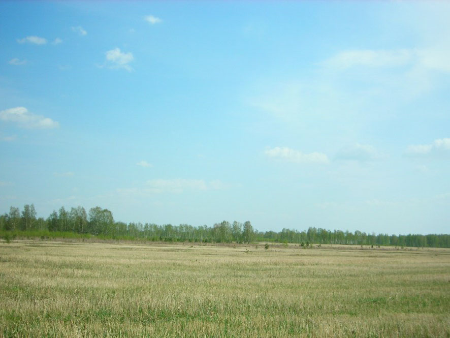 Земельный участок №99