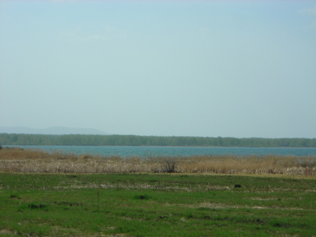 Земельный участок №82