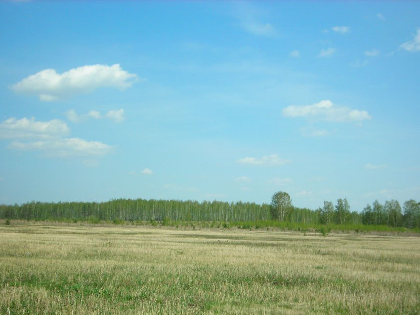 Земельный участок №17