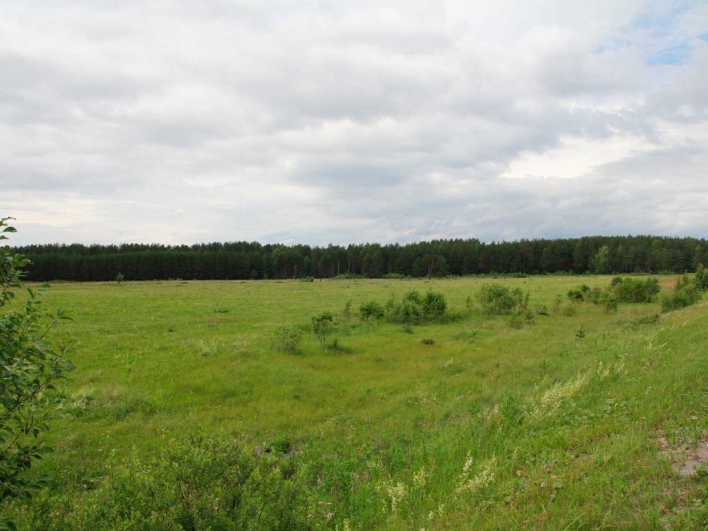 Земельный участок № 1 в ТПК ‭«Верхнепышминский»