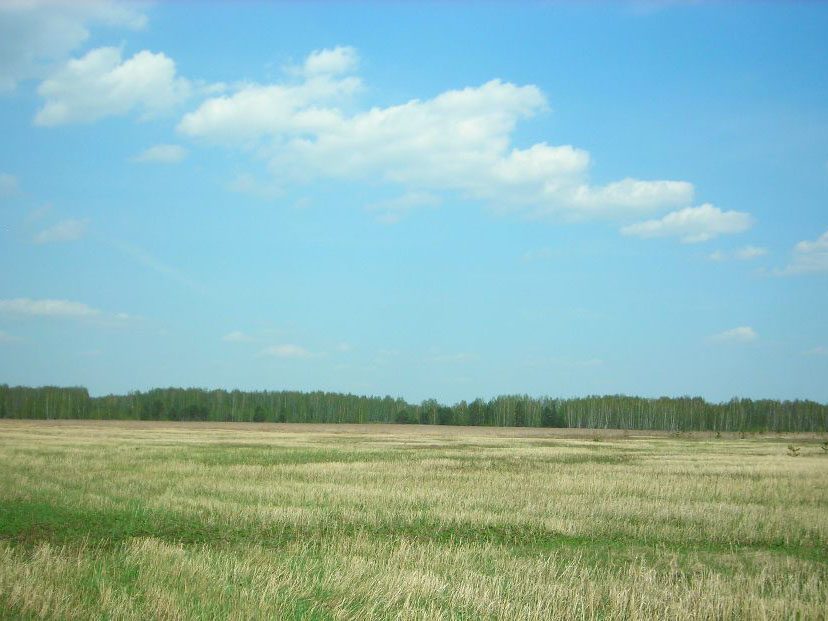 Земельный участок №96