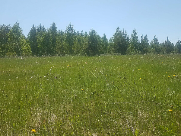 Земельный учаcток № 108